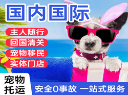 南洋航空快递国际宠物托运 【国